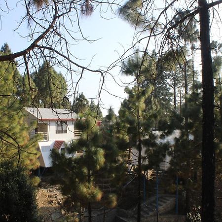 Ghughuti Resort Lansdowne Zewnętrze zdjęcie